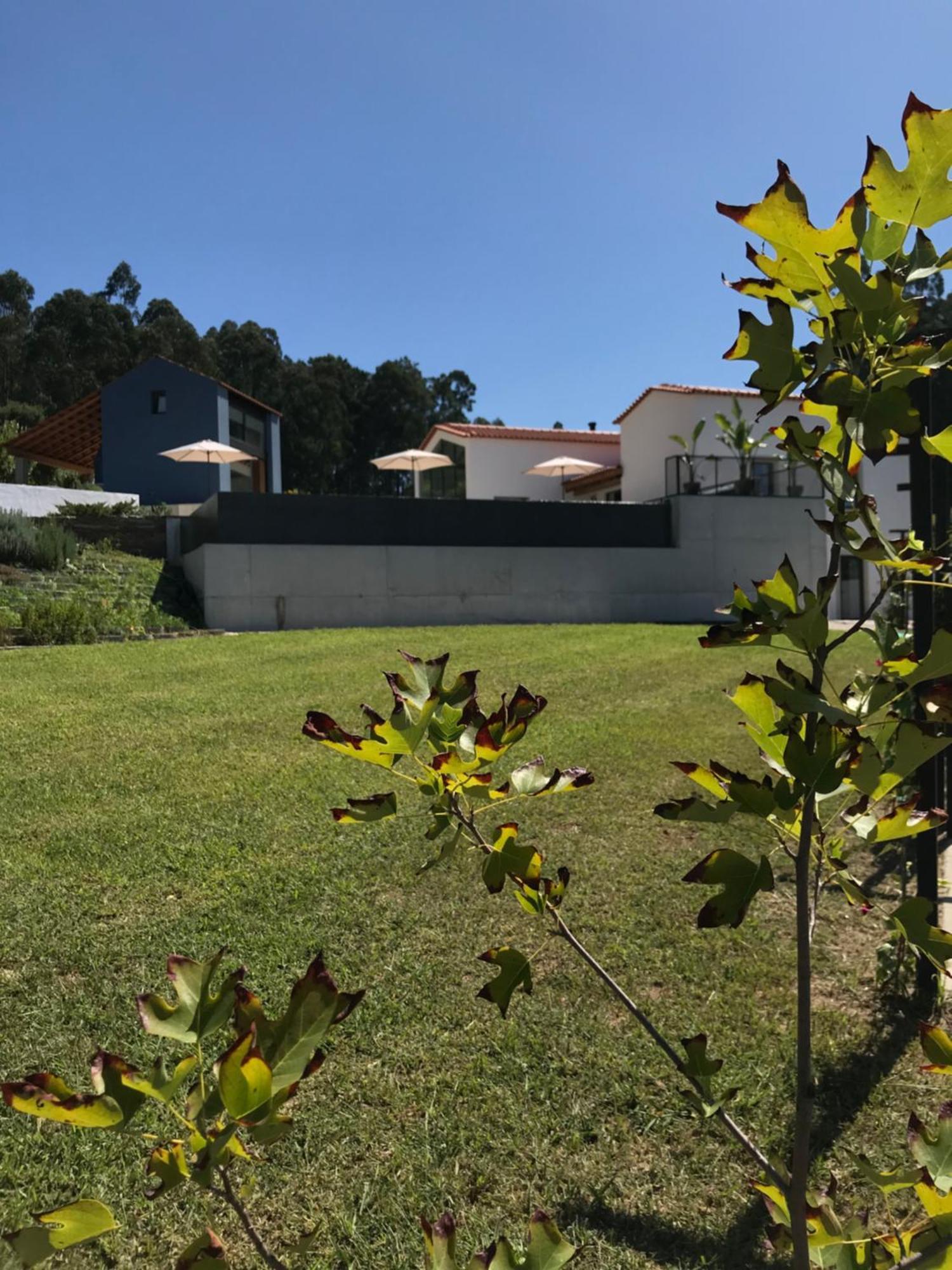 Casa Da Milheira - Agroturismo Oliveira de Azeméis Extérieur photo