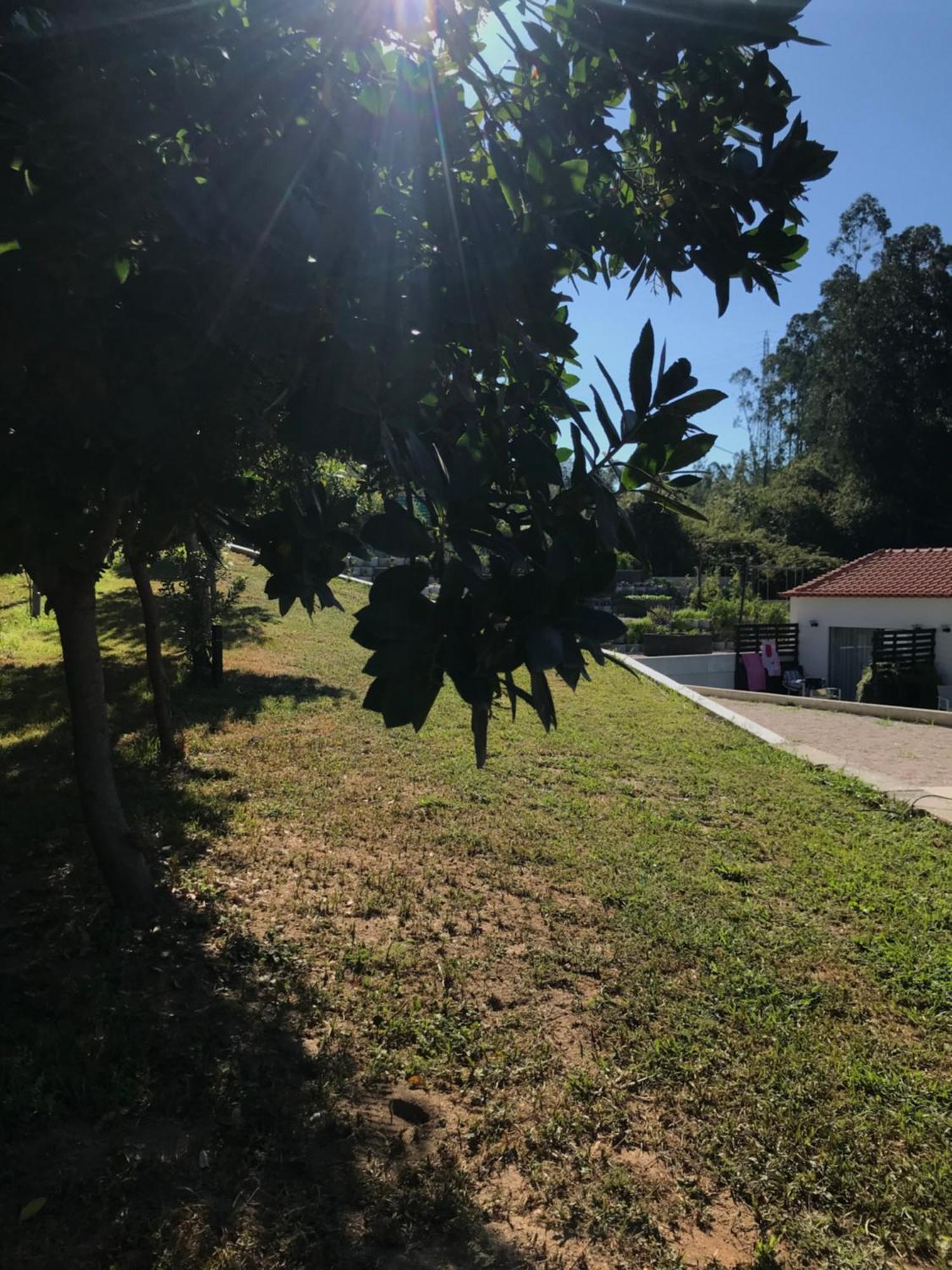 Casa Da Milheira - Agroturismo Oliveira de Azeméis Extérieur photo
