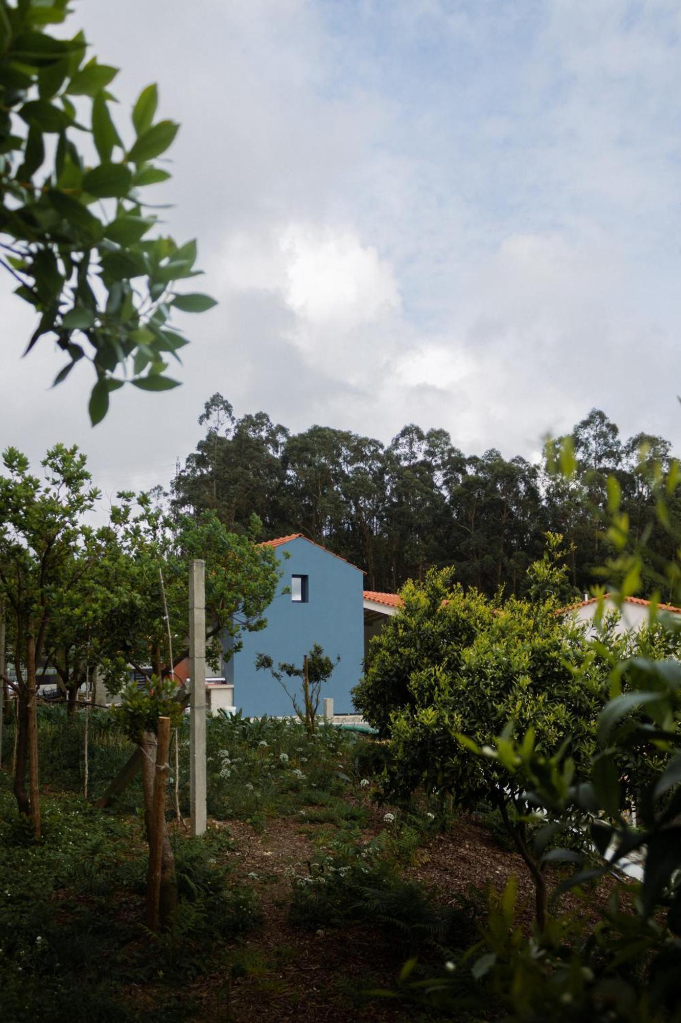 Casa Da Milheira - Agroturismo Oliveira de Azeméis Extérieur photo