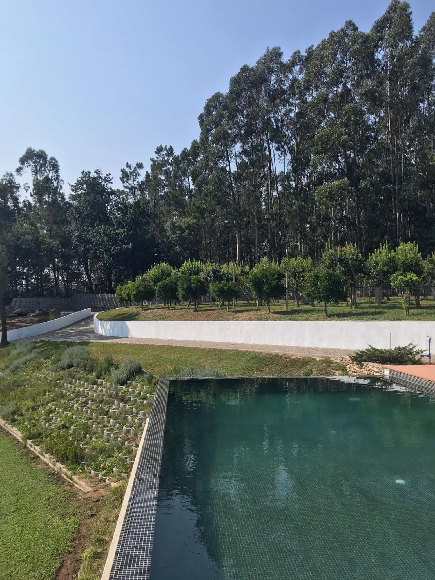 Casa Da Milheira - Agroturismo Oliveira de Azeméis Extérieur photo