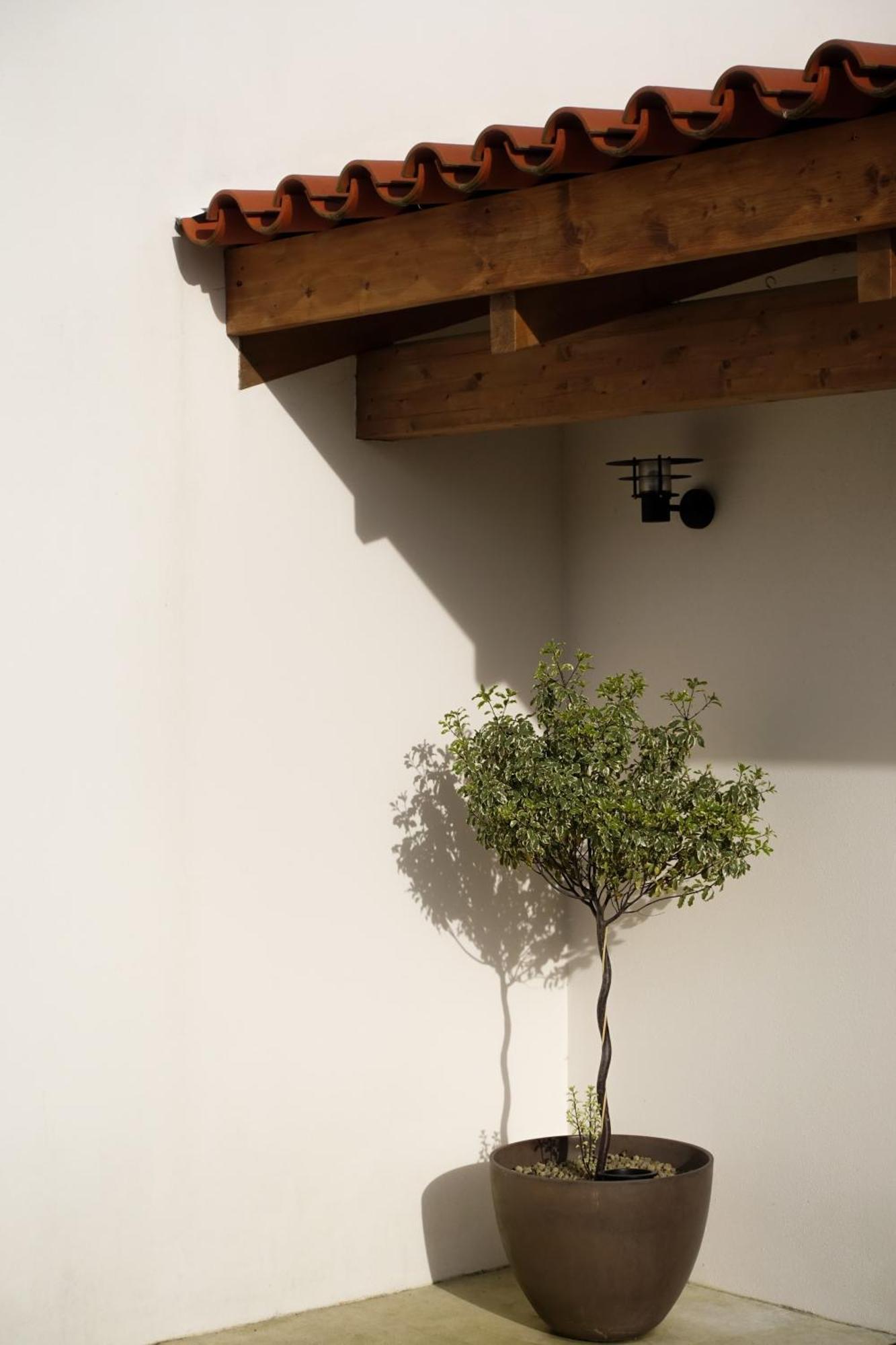 Casa Da Milheira - Agroturismo Oliveira de Azeméis Extérieur photo